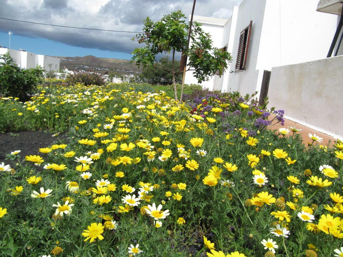 Casa Montana De Tahiche Villa Dış mekan fotoğraf